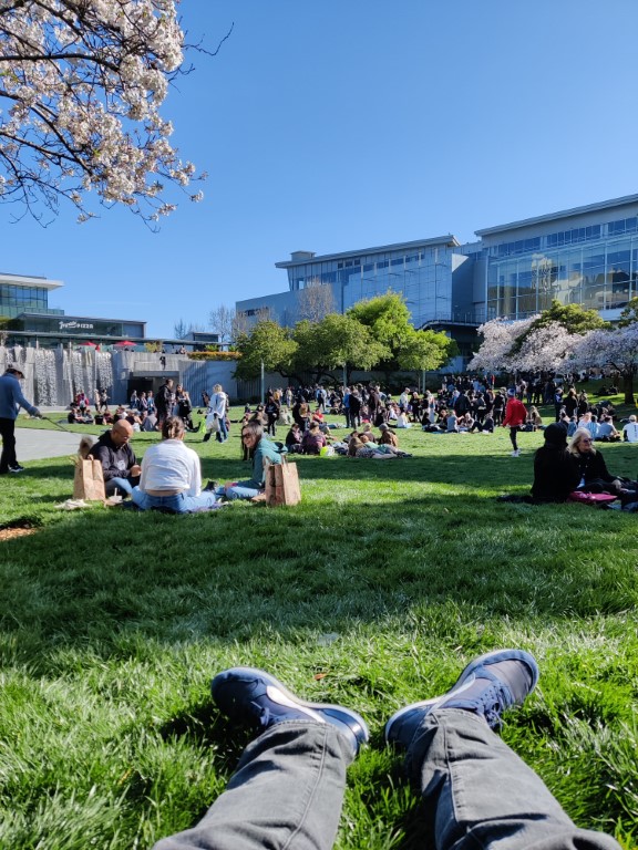 Recovery at Yerba Buena Gardens